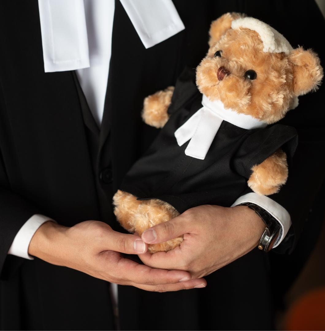 Lawyer Bear view 4