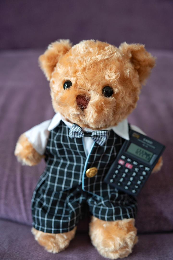 Accountant Bear — A charming handcrafted teddy bear in a sharp plaid suit, bow tie, and carrying a Casio calculator. Personalised with a name — the most unique gift for an accountant or finance graduate.