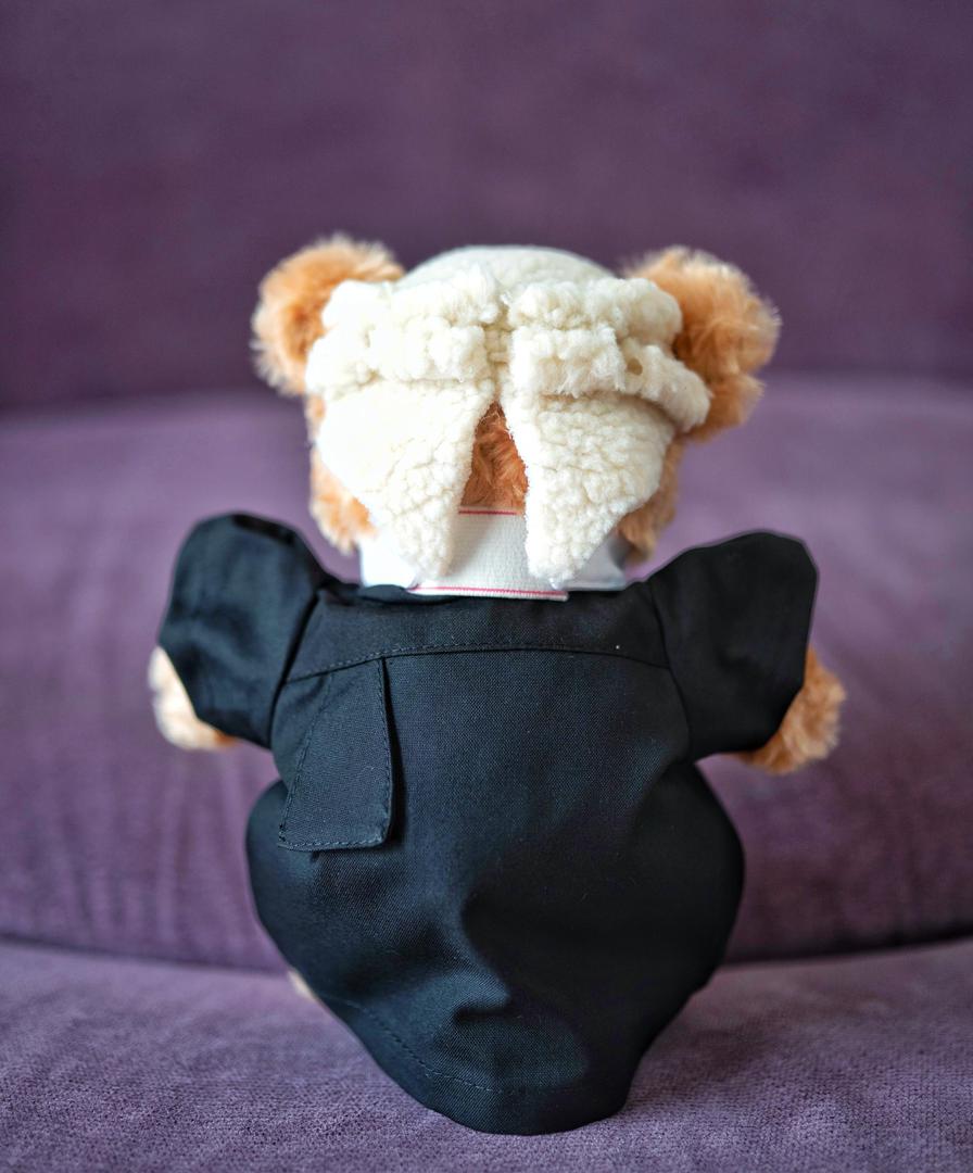 Lawyer Bear — A handcrafted teddy bear dressed in a tailored black lawyer's robe, crisp white bib, and authentic barrister's wig. Personalised with your recipient's name — a gift they will treasure for years.